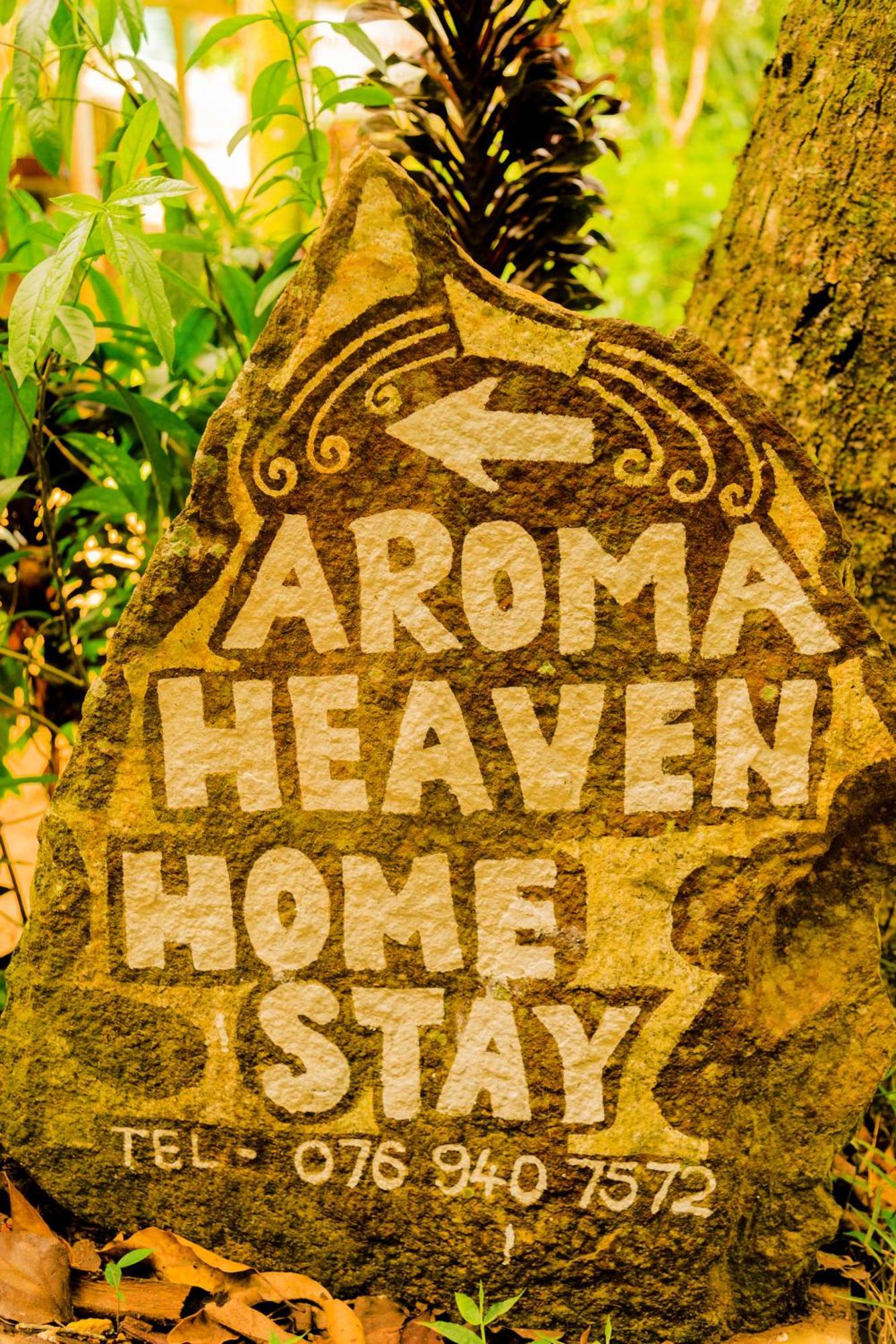 Aroma Heaven Homestay Ella Kültér fotó